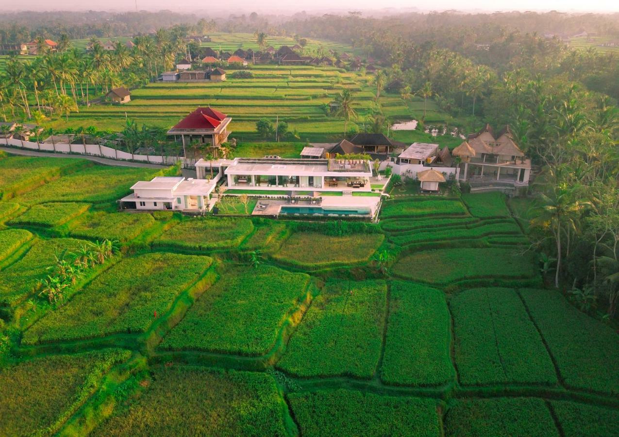 Villa Harta Ubud Exteriér fotografie